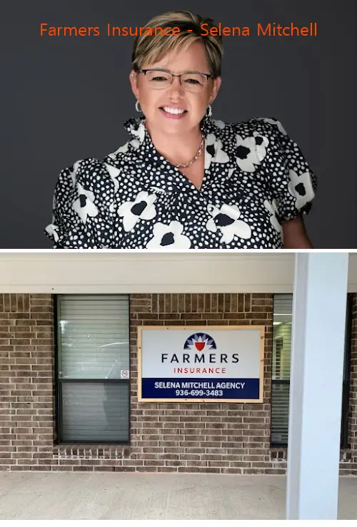Farmers Insurance - Selena Mitchell