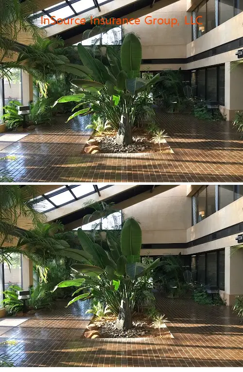 InSource Insurance Group, LLC