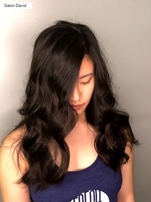 Salon David