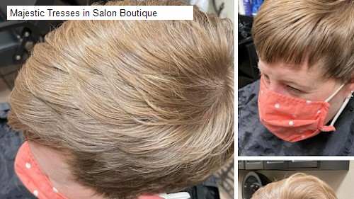 Majestic Tresses in Salon Boutique