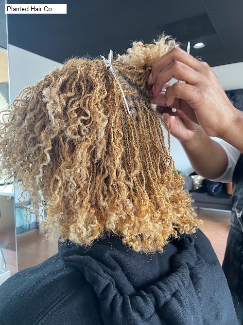 Planted Hair Co.