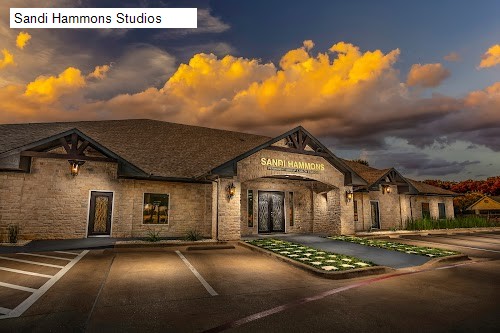 Sandi Hammons Studios