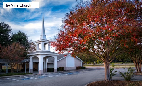 The Vine Church