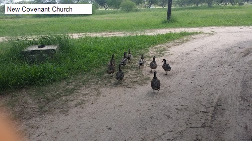New Covenant Church