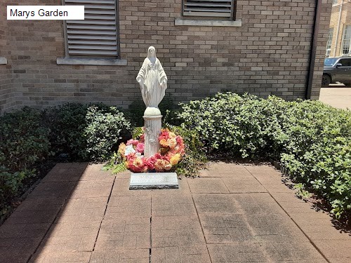 Marys Garden
