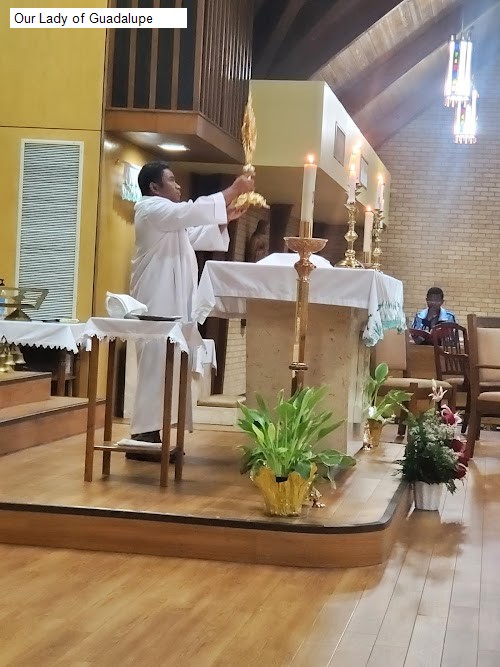 Our Lady of Guadalupe