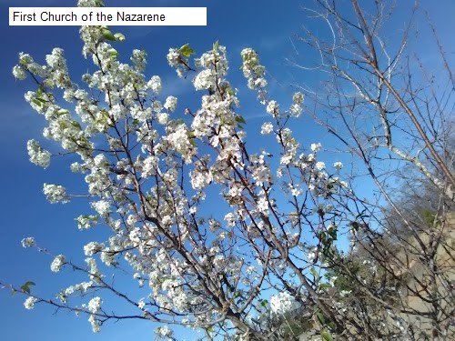 First Church of the Nazarene