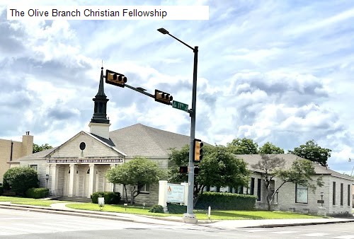 The Olive Branch Christian Fellowship