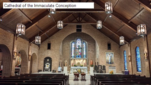 Cathedral of the Immaculate Conception