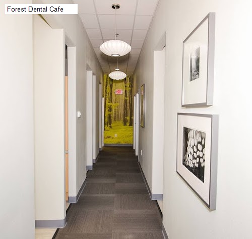 Forest Dental Cafe