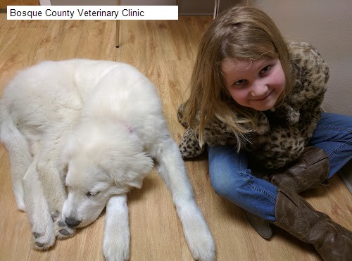 Bosque County Veterinary Clinic