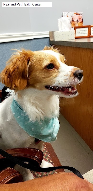 Pearland Pet Health Center