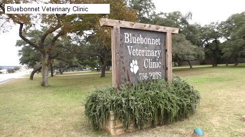 Bluebonnet Veterinary Clinic