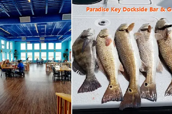 Paradise Key Dockside Bar & Grill