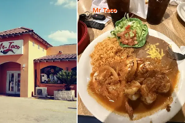 Mr Taco