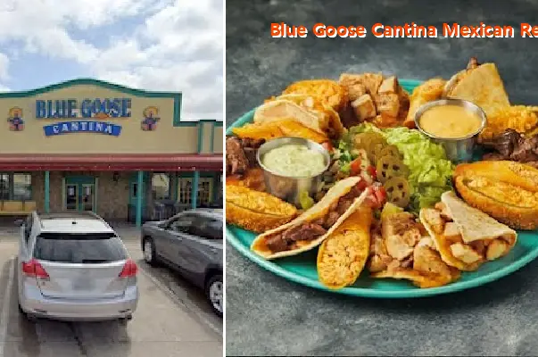 Blue Goose Cantina Mexican Restaurant
