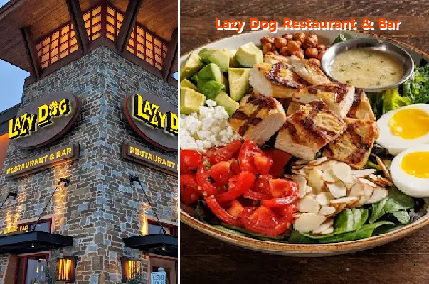 Lazy Dog Restaurant & Bar