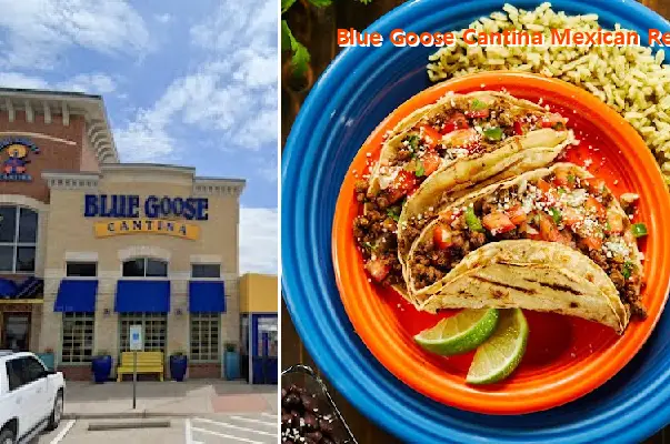 Blue Goose Cantina Mexican Restaurant