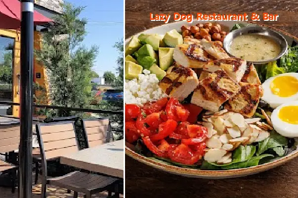Lazy Dog Restaurant & Bar