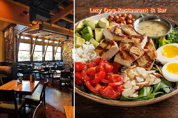Lazy Dog Restaurant & Bar