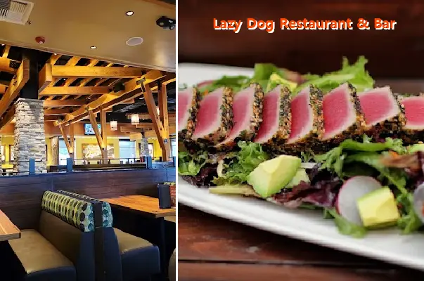 Lazy Dog Restaurant & Bar