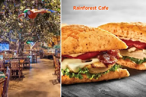 Rainforest Cafe