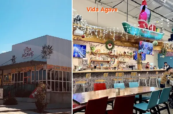 Vida Agave