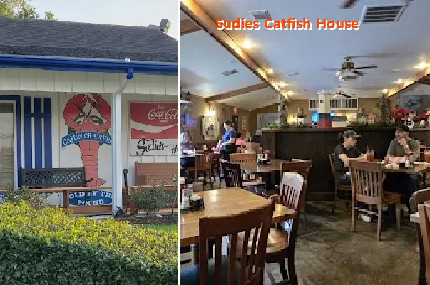 Sudies Catfish House