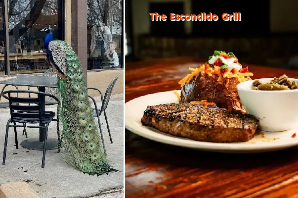 The Escondido Grill