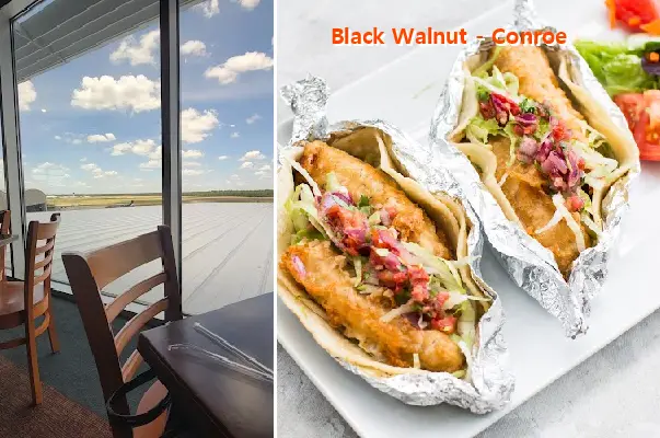 Black Walnut - Conroe