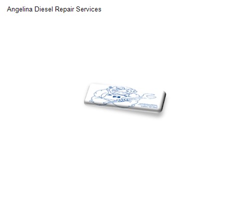 Angelina Diesel Repair Services