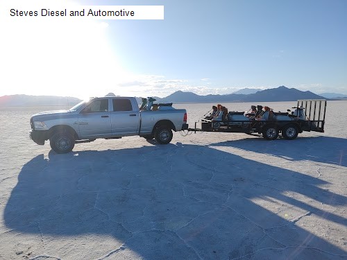 Steves Diesel and Automotive