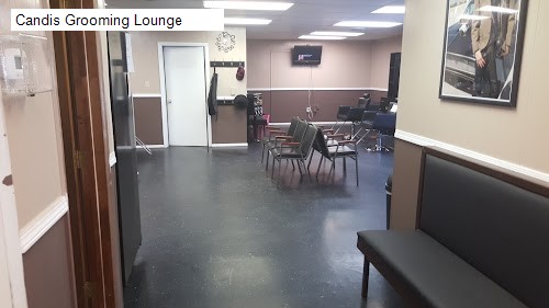 Candis Grooming Lounge