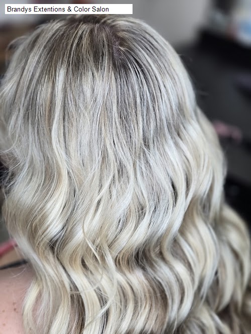 Brandys Extentions & Color Salon