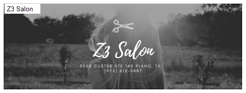 Z3 Salon