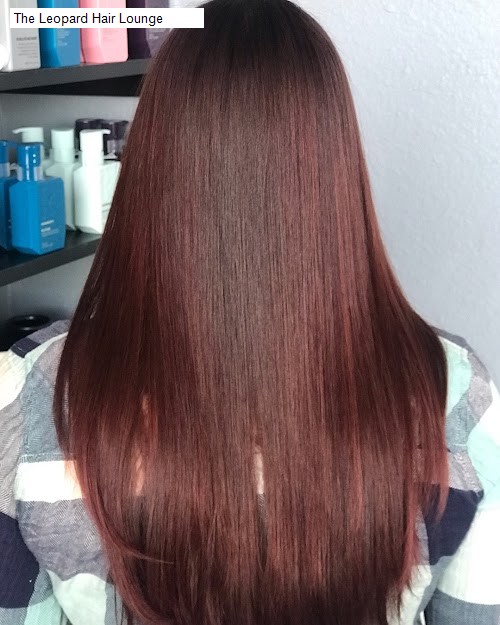 The Leopard Hair Lounge