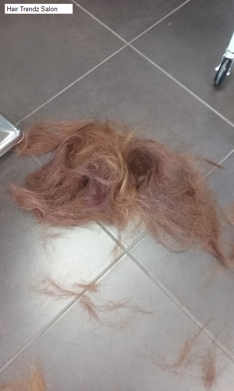 Hair Trendz Salon