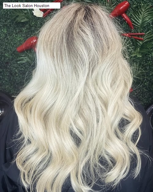 The Look Salon Houston