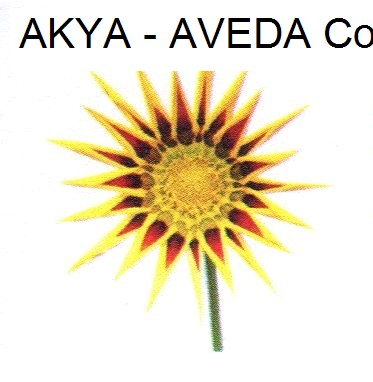 AKYA - AVEDA Concept Salon