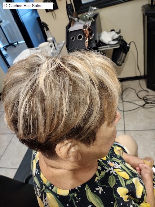 D Cachee Hair Salon