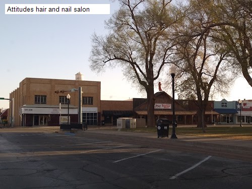Attitudes hair and nail salon