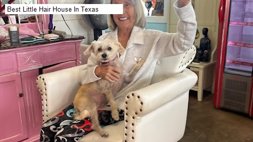 Best Little Hair House In Texas