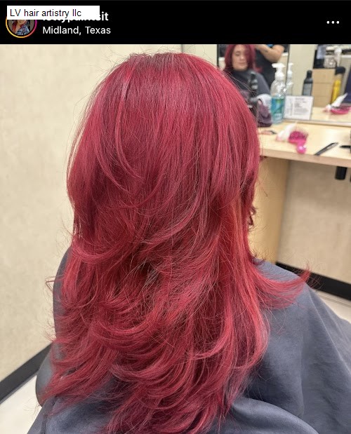 LV hair artistry llc