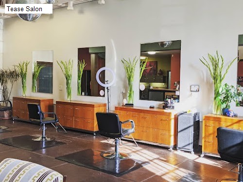Tease Salon