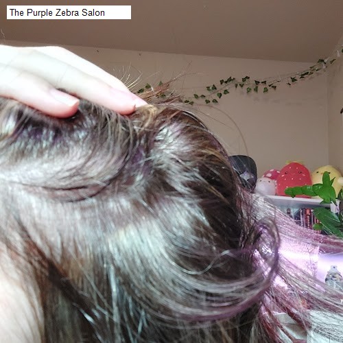 The Purple Zebra Salon