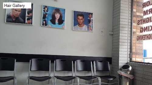 Hair Gallery