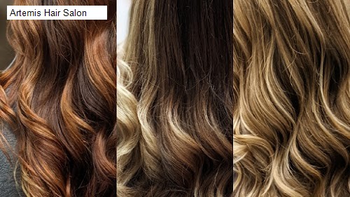 Artemis Hair Salon