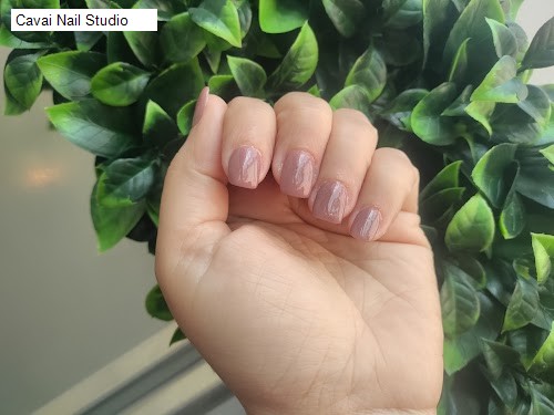 Cavai Nail Studio