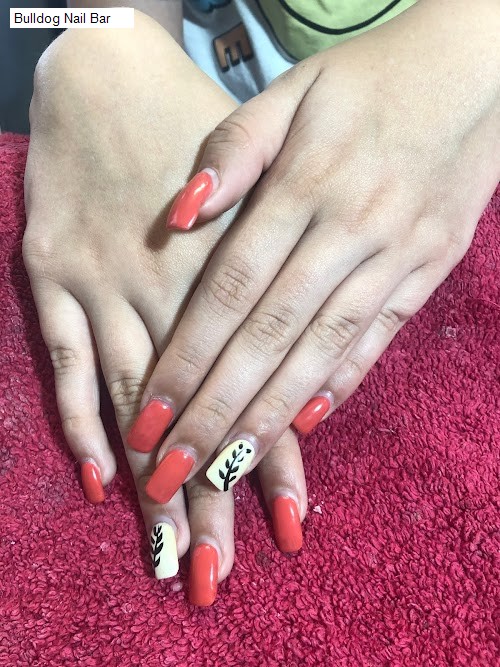 Bulldog Nail Bar