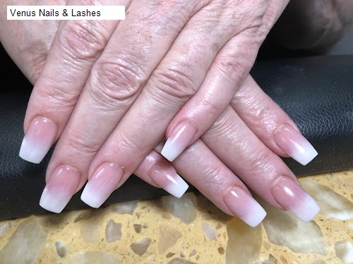 Venus Nails & Lashes